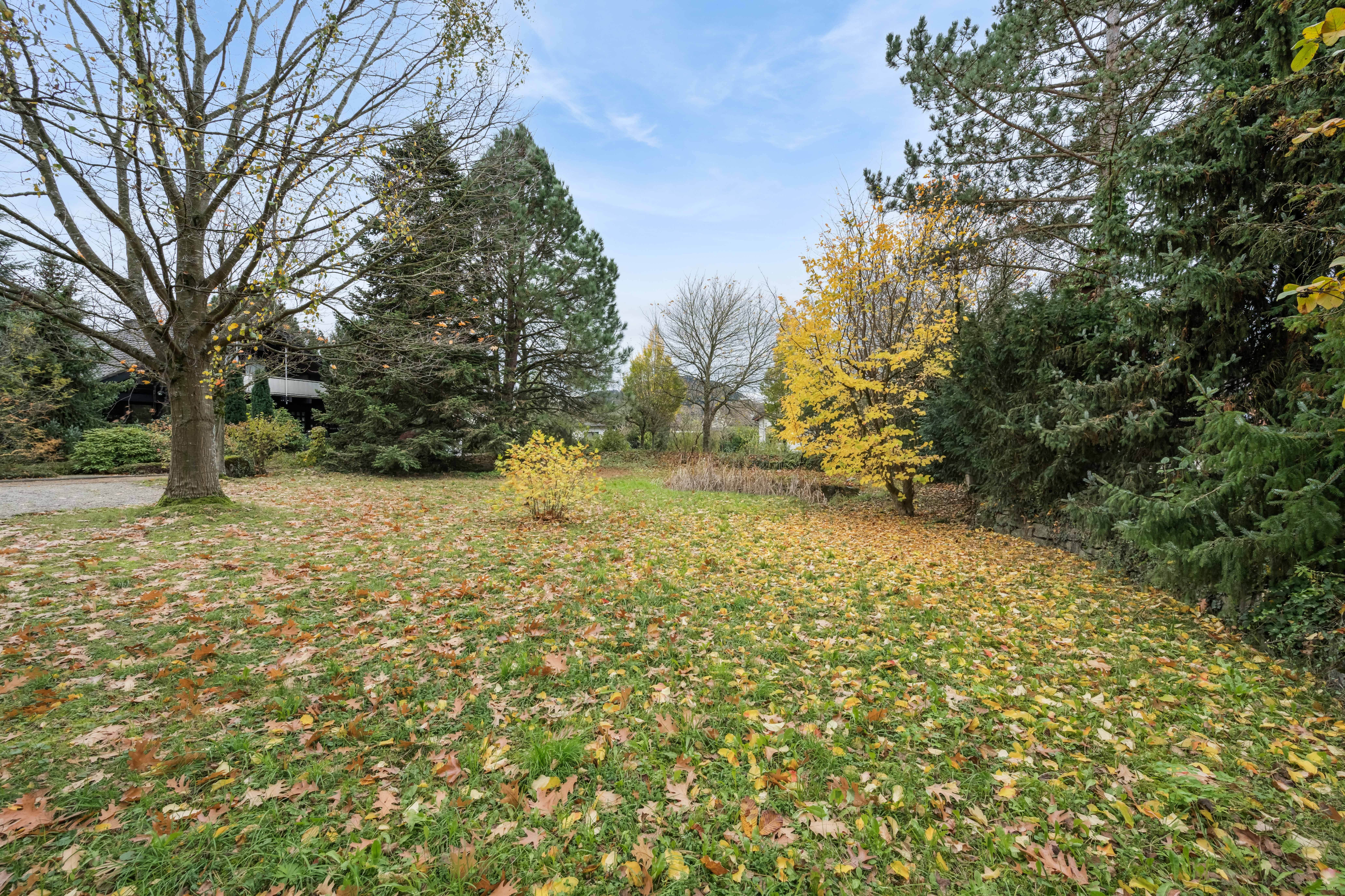 Naturverbundenes Baugrundstuck Waldstetten - 1.402 qm, Weitblick Rechberg &ndash; Bild 11 in Waldstetten